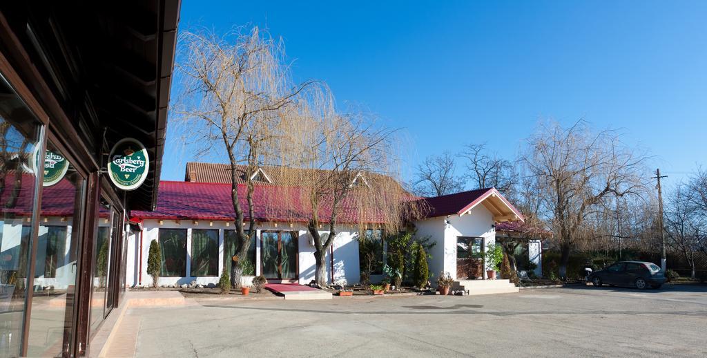 Pension Club Montana Campina Esterno foto