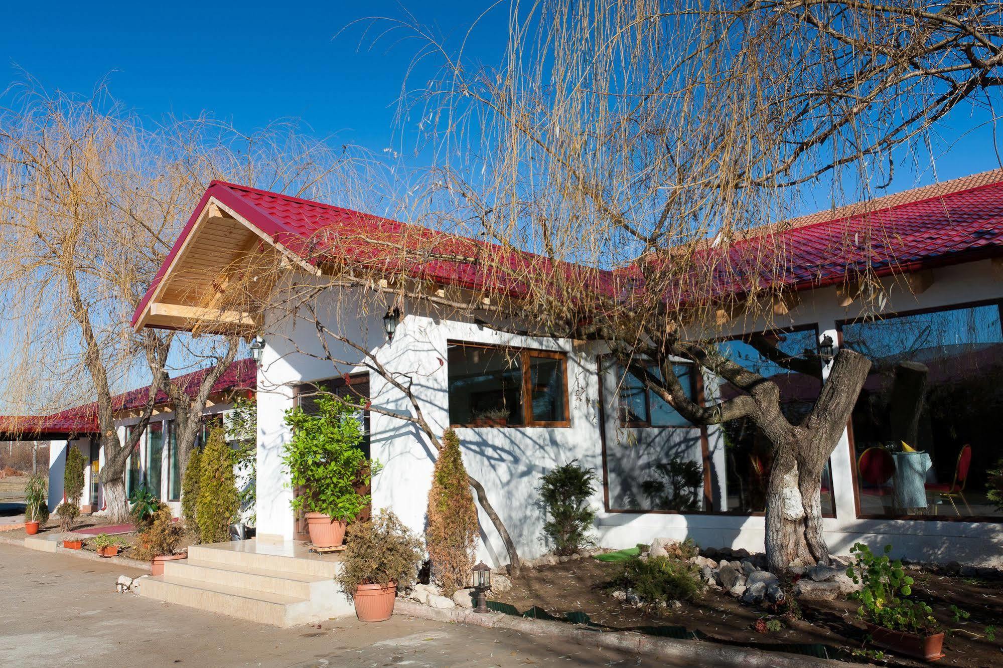 Pension Club Montana Campina Esterno foto